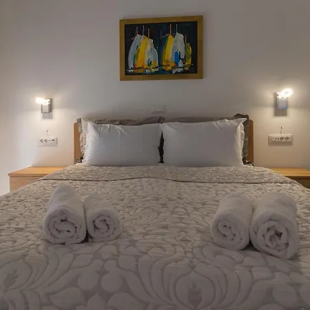 Ema With Heated Saltwater Pool, Sauna And Private Gym - By Ta Leut Agency Privlaka (Zadar)